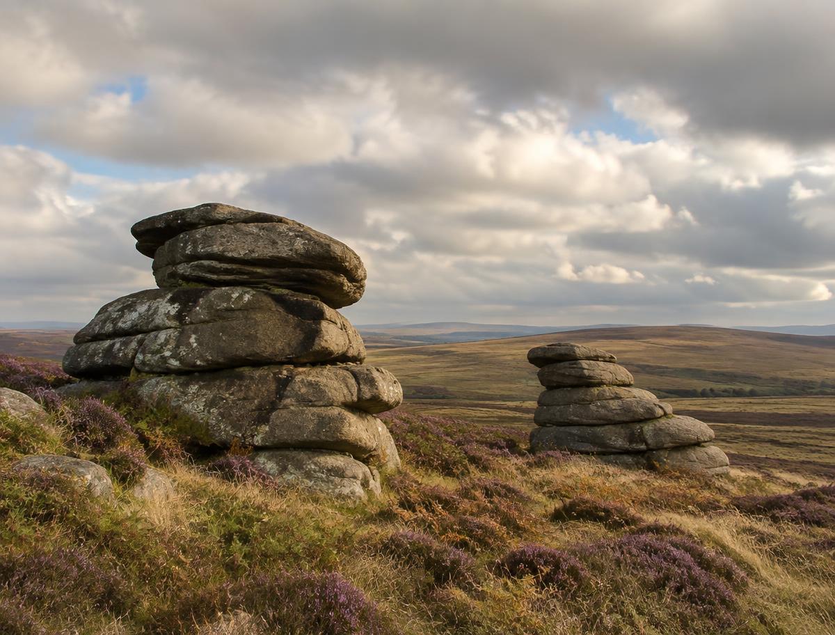 Balanced gritstone stacks on heather moorland